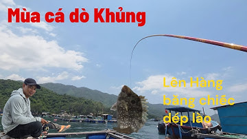 Câu cá biển, săn cá Dò ở biển trên bè, hốt đàn cá Dò khủng 