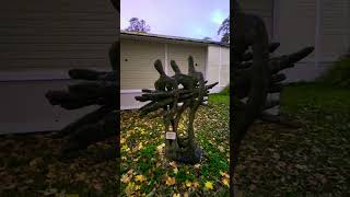 Зеленогорск 🍂Осень🍂 Прогулка 🍂