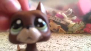 Lps: Lets Get Random! by Olga Eriksson 2,977 views 10 years ago 13 minutes, 15 seconds