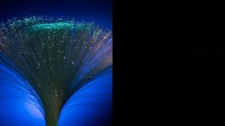 Fiber Optic Cabling and The Elimination of Signal Crosstalk