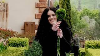 Chic Green Textures | Create a Vibrant Arrangement with Green Trick & Chrysanthemums