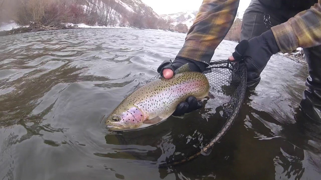 Idaho Fly Fishing January 2020 - YouTube Idaho Fly Fishing January 2020 - YouTube