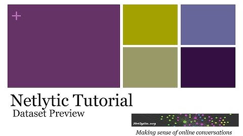 Netlytic Preview Screen