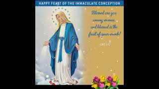 ❤️Happy Feast of the Immaculate Conception on Dec-8/What's app Status 🙏💐❤️