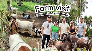 Farm Visit at Brucks Mountainside Livestock Farm! | Vlog 30