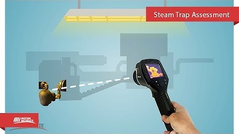 The Energy Services Team - Steam Trap Assessment