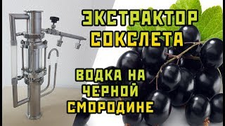 С НИМ Я СДЕЛАЛ KURANT НА СМОРОДИНЕ ЗА 2,5 ЧАСА. Сан Саныч.