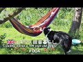 4 ボーダーコリーと庭で過ごす夫婦の週末／宅飲みハンモック【イギリス、アンティークな暮らし。】vlog