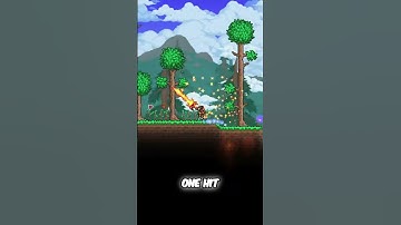 Queen Bee Down! Epic Loot & Forest Secrets Unlocked!