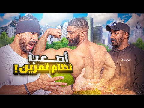 فل بودي   ابو ربيعه