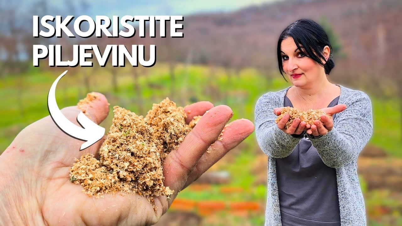 ИСПОЛЬЗОВАНИЕ ПИЛОВ В САДУ И Фруктовом саду: 6 полезных способов