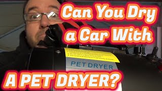 Can a Pet Dryer Dry a Car?