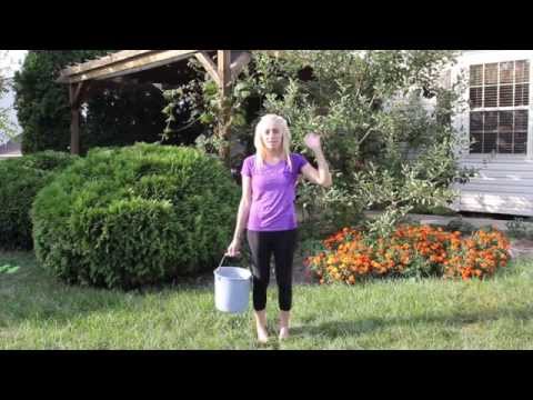 Maria Athena accepts the Ice Bucket Challenge