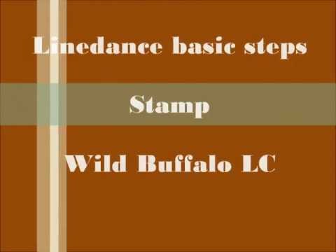 Linedance basic steps: Stamp (WB hun)