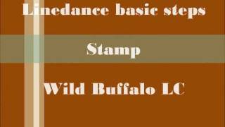 Linedance basic steps: Stamp (WB hun)