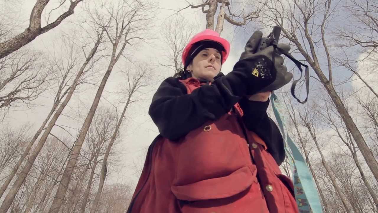 Ingénieure forestière en transfert de connaissances