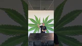 Old Route 66 Missouri Dispensary Opening Preview With Elevate Holistics