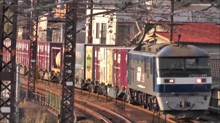 【尾道~東尾道】EF210-171[新]牽引　貨物列車1058レ　【HD】2014.12.23