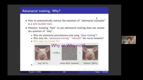 Feature purification: How adversarial training can perform robust deep learning - Yuanzhi Li