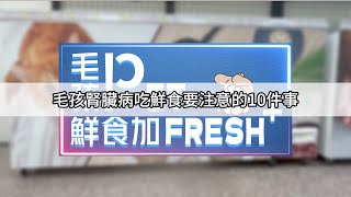 毛孩腎臟病吃鮮食要注意的10件事 #毛小孩 #寵物食品 #鮮食 #腎臟病 #毛手毛腳毛孩專門店 #毛孩子的店 #千金爸媽的天然鮮食堂 #毛孩健康的靠山 #寵物