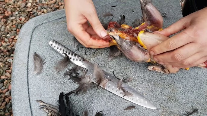 Kelinlar porno rasmlar Mashinada porno va