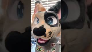 Furry TikTok compilation part 2