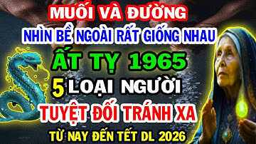 Phơi Bày Sự Thật, Ai Hãm Hại, Ai Giúp Đỡ Người Tuổi Ất Tỵ 1965 Từ Nay Đến Tết Dương Lịch 2026.