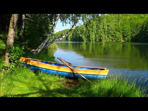 Video: Za Vedno Nenadni Stav