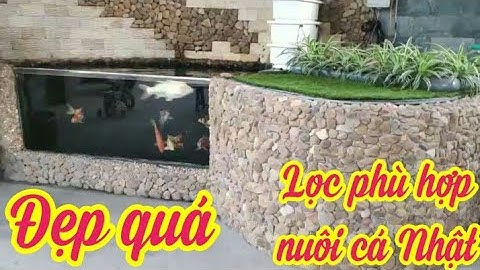 Riview: Hồ Cá Koi 2 Khối Đẹp - Bộ Lọc Chuẩn Nuôi Cá Koi - Hút Mặt + Đáy Hợp Lý.Hồ A Văn Ở Quảng Ninh