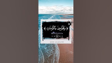 ماهر المعيقلي/تلاوة خاشعة يخشع له القلب أيات من سورة النوح﴿28﴾ أرح قلبك 💦🤲❄️💯🌺🍒