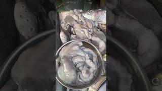 Nerul fish market aagrikoli nerul fishmarket octopus jyotiscorner