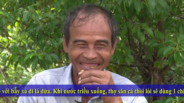 Cà Mau - Săn Cá Thòi Lòi