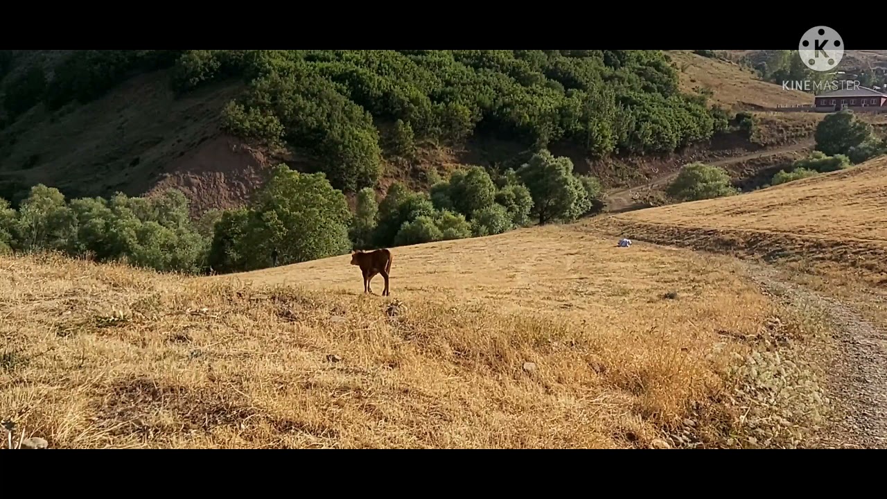 ERZURUM HINIS ARPADERESİ KÖYÜ (ŞEYTAN DEĞİL SEHİTHAN)