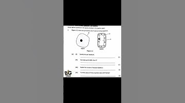 Biology P2 2022 internal section B #answers
