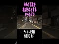 【ショート】のんびり道を横切ろうとするアライグマ
