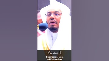 إنهم كانوا لا يرجون حسابًا | تلاوة أخاذة من سورة النبأ | ياسر الدوسري
