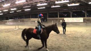 Leo canter and jumping lesson screenshot 4