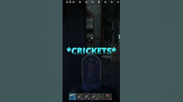 When bro crashes #rust #crash #slowmotion #gaming #funnypictures