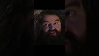 YOU'RE A WIZARD @MaxiMillianTV  🧙 #rap #mecgang #harrypotter #wizardingworld