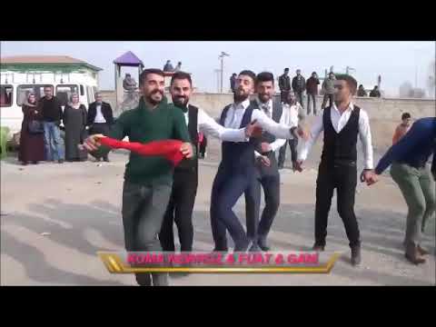 Kurdish dance in kurdistan/kurdish village dance