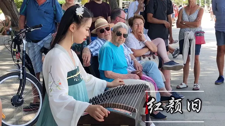 Guzheng Cover Hong Yan Jiu Chinese Musical Instrum...