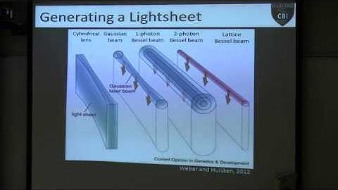 Imaging 3D Volumes in Live and Fixed Samples with lightsheet Microscopy