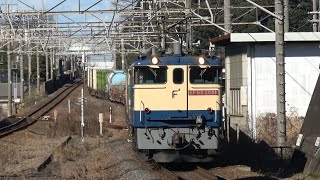 国鉄色EF65牽引のコンテナ貨物（1093レ・4097レ）を新検見川駅＆船橋法典駅で撮影