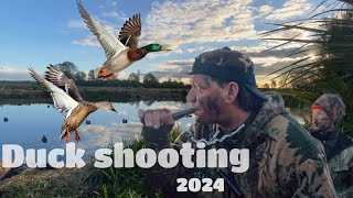 Duck Shooting 2024