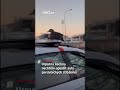 Urputná kachna na policejním autě