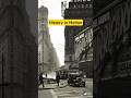 History in Motion | AI Cinematic Video | Dreams Nature | #shorts