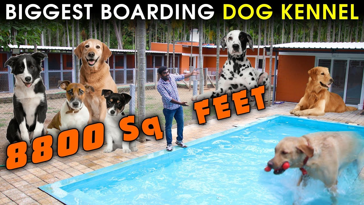 இப்படி ஒரு Boarding Dog Kennel இருக்கு தெரியுமா.? Premium Pet