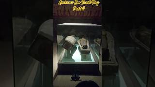 Lucknow Zoo(Chidiyaghar♥️) Short Vlog Part-5||EGYPT GALLARY||#youtubeshorts#shorts#shortfeed#muzium
