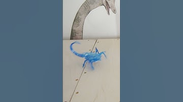 HEXBUG Scorpion a robotic bug toy