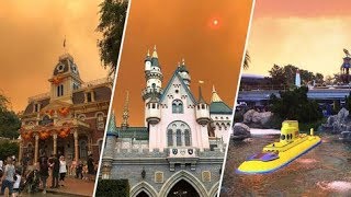 The anaheim hills canyon fire 2 happened on our last day. we decided
to make best of it though. took over disneyland early morning, and
smok...